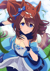 Rule 34 | 1girl, animal ears, bare shoulders, blue bow, blue dress, blue eyes, blue scarf, blue thighhighs, bow, braid, braided ponytail, breasts, brown hair, cleavage, commentary request, dress, ear bow, grass, hair between eyes, highres, horse ears, horse girl, horse tail, large breasts, long hair, looking at viewer, motion lines, multicolored hair, outdoors, running, scarf, shiromaru illust, solo, streaked hair, super creek (umamusume), tail, thighhighs, umamusume, white hair, wrist cuffs