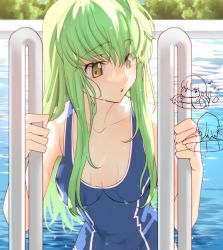 Rule 34 | 1girl, breasts, c.c., chibi, chibi inset, cleavage, code geass, collarbone, creayus, dripping, forest, green hair, ladder, long hair, medium breasts, nature, partially submerged, pool, school swimsuit, swimsuit, tree, water, yellow eyes