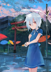 Rule 34 | 1girl, blue dress, blue umbrella, building, closed mouth, cloud, cloudy sky, collared dress, commentary request, day, dress, dutch angle, eyes visible through hair, fence, grass, green umbrella, hair between eyes, head tilt, highres, holding, holding umbrella, inami hatoko, japanese clothes, lamppost, looking at viewer, oil-paper umbrella, orange umbrella, original, outdoors, pink umbrella, rain, red umbrella, road, rope, shimenawa, short hair, short sleeves, sky, solo focus, standing, torii, transparent, transparent umbrella, tree, umbrella, utility pole, white hair, wing collar, yellow umbrella