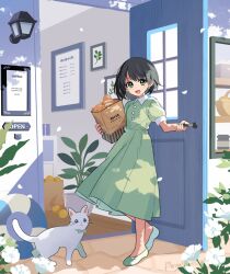 Rule 34 | 1girl, :d, animal, arisa (aren), artist name, bag, black hair, blush, bread, buttons, cat, collared dress, commentary request, dappled sunlight, day, door, doorway, dress, flower, food, full body, green dress, green eyes, green footwear, groceries, highres, holding, holding bag, long dress, looking at viewer, open door, open mouth, opening door, original, paper bag, picture frame, plant, pleated dress, potted plant, puffy short sleeves, puffy sleeves, shoes, short hair, short sleeves, signature, smile, solo, standing, sunlight, white cat, white flower, wind