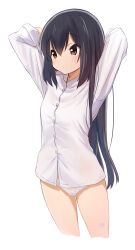 Rule 34 | 1girl, absurdres, arms behind head, arms up, black hair, blush, brown eyes, closed mouth, collared shirt, commentary request, cropped legs, dot mouth, hair between eyes, highres, k-on!, long hair, long sleeves, nakano azusa, no pants, panties, retsumaru, shirt, simple background, solo, standing, underwear, white background, white panties, white shirt