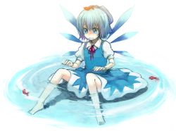 Rule 34 | 1girl, bad id, bad pixiv id, barefoot, blue dress, blue eyes, blue hair, bow, cirno, crystal, dress, embodiment of scarlet devil, faux figurine, female focus, fish, full body, hair bow, ice, ice wings, kneehighs, matching hair/eyes, partially submerged, ponytail, puffy short sleeves, puffy sleeves, short sleeves, sitting, socks, solo, touhou, water, white socks, wings, yonko