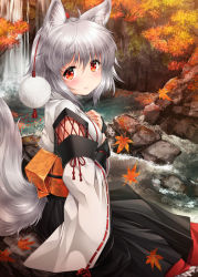 Rule 34 | 1girl, ahoge, animal ears, blush, bridal gauntlets, detached sleeves, hat, inubashiri momiji, japanese clothes, kei kei, kourindou tengu costume, leaf, long sleeves, looking at viewer, looking back, maple leaf, obi, outdoors, pom pom (clothes), red eyes, ribbon-trimmed sleeves, ribbon trim, river, sash, short hair, silver hair, sitting, smile, solo, tail, tokin hat, touhou, water, waterfall, wide sleeves, wolf ears, wolf tail