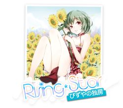 Rule 34 | 1girl, adapted costume, album cover, alternate costume, bare legs, bare shoulders, boots, breasts, buriki, cleavage, cover, dress, female focus, flower, green hair, kazami yuuka, legs, red eyes, short hair, sitting, smile, solo, sunflower, touhou, transparent background