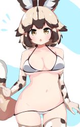 Rule 34 | 1girl, :o, african wild dog (kemono friends), african wild dog print, animal ears, berusa (berutoo), bikini, blue background, blush, breasts, brown eyes, chestnut mouth, cleavage, cowboy shot, dog ears, dog tail, elbow gloves, flying sweatdrops, gloves, grey background, highres, kemono friends, large breasts, light brown hair, looking at viewer, multicolored hair, nose blush, open mouth, short hair, solo, streaked hair, swimsuit, tail, thighhighs, v-shaped eyebrows