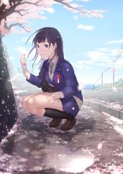 Rule 34 | 1girl, black hair, black socks, blue skirt, blue sky, brown footwear, cherry blossoms, closed mouth, cloud, cloudy sky, collared shirt, day, dress shirt, fuyuno kamome, grey necktie, highres, holding, jacket, kneehighs, legs together, loafers, long hair, necktie, outdoors, petals, pleated skirt, power lines, puddle, purple eyes, ribbed legwear, ripples, road, school uniform, shirt, shoes, skirt, sky, socks, solo, sparkle, squatting, sweater, the r.a.i.n.s., thighs, white shirt, wind