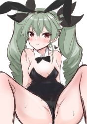 Rule 34 | 1girl, absurdres, airi (akamichiaika), anchovy (girls und panzer), animal ears, arms behind back, bare legs, black bow, black bowtie, black leotard, black ribbon, blush, bow, bowtie, breasts, brown eyes, closed mouth, collar, commentary, detached collar, drill hair, fake animal ears, girls und panzer, green hair, hair ribbon, heart, highres, leaning back, leotard, long hair, looking at viewer, m legs, medium breasts, playboy bunny, rabbit ears, ribbon, simple background, sitting, sketch, smile, solo, spread legs, strapless, strapless leotard, sweat, twin drills, twintails, white background, white collar