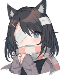 Rule 34 | 1girl, animal ear fluff, animal ears, bandage over one eye, black hair, blue eyes, cat ears, checkered clothes, checkered scarf, expressionless, highres, long sleeves, looking at viewer, original, satou (3366 s), scarf, short hair, sketch, sleeves past wrists, solo, sweater