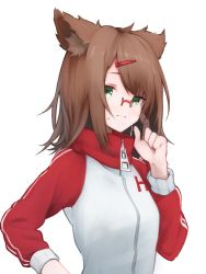 Rule 34 | 1girl, animal ears, blush, breasts, brown hair, closed mouth, commentary request, finger to cheek, glasses, green eyes, hair between eyes, hair ornament, hairpin, hiiragi channel, hiiragi ryou (vtuber), indie virtual youtuber, jacket, long sleeves, looking to the side, medium hair, multicolored clothes, red-framed eyewear, red jacket, sidelocks, simple background, small breasts, solo, standing, sweatdrop, tamasa yamoto, virtual youtuber, white background, white jacket, zipper, zipper pull tab