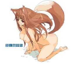 Rule 34 | 00s, 1girl, animal ears, ass, bad id, bad pixiv id, barefoot, breasts, brown hair, full body, holo, kneeling, mumu, nipples, nude, oekaki, red eyes, sketch, solo, spice and wolf, tail, wolf ears, wolf tail