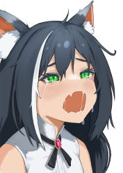 Rule 34 | 1girl, ahoge, animal ear fluff, animal ears, black hair, blush, cat ears, crying, crying with eyes open, fangs, flasso, green eyes, highres, karyl (princess connect!), long hair, multicolored hair, open mouth, photo-referenced, portrait, princess connect!, simple background, skin fangs, snot, solo, streaked hair, tears, two-tone hair, wavy mouth, white background, white hair