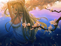 Rule 34 | absurdres, arms up, ashorz, blonde hair, cherry blossoms, dress, from behind, green eyes, hand in own hair, highres, long hair, looking at viewer, looking back, nintendo, pointy ears, princess zelda, sleeveless, sleeveless dress, the legend of zelda, the legend of zelda: breath of the wild, wading, white dress
