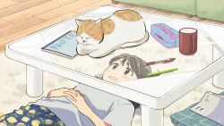 Rule 34 | 1girl, blue shirt, brown eyes, brown hair, carpet, cat, coffee table, commentary request, cup, glass table, hands on own stomach, highres, indoors, interlocked fingers, kojiro337, light blush, long hair, lying, mug, notebook, on back, original, pen, pencil, pencil case, shirt, short sleeves, smile, solo, table, wooden floor