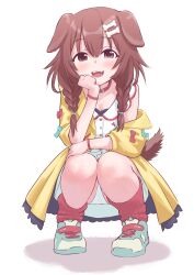 Rule 34 | 1girl, absurdres, animal ears, braid, brown hair, dog ears, dog girl, dog tail, dress, female focus, hair ornament, hairclip, highres, hololive, inugami korone, jacket, looking at viewer, open mouth, panties, pantyshot, solo, squatting, tail, tamura-chan, twin braids, underwear, virtual youtuber, white panties