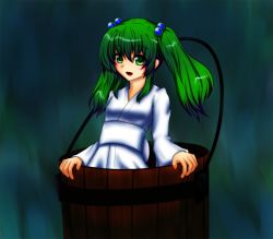 Rule 34 | 1girl, bad id, bad pixiv id, bucket, female focus, green eyes, green hair, hair bobbles, hair ornament, in bucket, in container, kisume, long sleeves, matching hair/eyes, open mouth, short hair, solo, suramo, touhou, twintails, wide sleeves