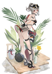 Rule 34 | 1girl, absurdres, asymmetrical legwear, bag, bent over, bikini, bird, black bikini, black hat, black ribbon, breasts, character request, commentary request, copyright request, fang, fence, flower, flower pot, grey hair, hat, high heels, highres, holding, holding bag, leg ribbon, light blush, looking at viewer, looking back, outstretched hand, penguin, plank, plant, ponytail, red eyes, ribbon, sarong, see-through, sidelocks, skin fang, smile, solo, swimsuit, thigh strap, underboob, vase, virtual youtuber, white background, wooden floor, yakihoko