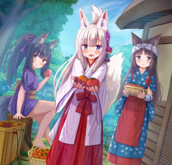 Rule 34 | 3girls, :d, absurdres, animal ears, apron, black hair, blue kimono, blush, bow, bowl, brown eyes, cat ears, closed mouth, commentary request, day, food, fox ears, fox girl, fox tail, hair between eyes, hakama, hakama skirt, highres, holding, holding bowl, holding food, iroha (iroha matsurika), japanese clothes, kimono, long sleeves, looking at viewer, miko, multiple girls, open mouth, original, outdoors, outstretched arms, polka dot, polka dot bow, purple eyes, purple kimono, red apron, red hakama, short sleeves, silver hair, sitting, skirt, smile, standing, tail, tail raised, tasuki, tomato, tree stump, waist apron, white bow, white kimono, wide sleeves