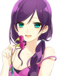 Rule 34 | 10s, 1girl, bad id, bad pixiv id, breasts, chisumi, cleavage, flower, green eyes, hair over shoulder, long hair, love live!, love live! school idol project, purple hair, small breasts, solo, strap slip, tojo nozomi, white background