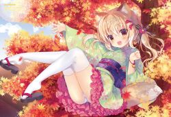 Rule 34 | 1girl, animal ears, artist request, autumn leaves, blonde hair, brown eyes, character request, hair between eyes, highres, japanese clothes, kimono, long hair, outdoors, smile, solo, thighhighs, white thighhighs, yukata