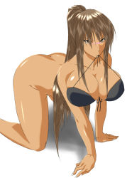 Rule 34 | 1girl, all fours, bad id, bad pixiv id, bad proportions, blush, bottomless, breasts, brown eyes, brown hair, cleavage, curvy, dark skin, dark-skinned female, hip focus, ksaiki, large breasts, long hair, mouth hold, ponytail, solo, wide hips