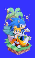 Rule 34 | 2boys, animal nose, blue background, blue eyes, blush, crossed arms, furry, furry male, gloves, grass, green eyes, green hill zone, highres, looking at viewer, male focus, misuta710, multiple boys, open mouth, palm tree, red footwear, ring (sonic), shoes, smile, sonic (series), sonic the hedgehog, standing, tails (sonic), tree, v, white gloves