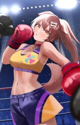 Rule 34 | 1girl, absurdres, animal collar, animal ears, armpits, bare shoulders, blush, bone hair ornament, bone print, boxing, boxing gloves, boxing ring, boxing shorts, breasts, brown eyes, brown hair, brown tail, cartoon bone, cleavage, collar, commentary request, dog ears, dog girl, dog tail, fighting, hair between eyes, hair ornament, highres, hololive, inugami korone, long hair, looking at viewer, midriff, navel, pearlbbbb, ponytail, pov, pov hands, red collar, serious, shorts, solo, stomach, sweat, tail, virtual youtuber