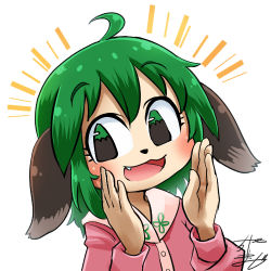 Rule 34 | 1girl, ahoge, animal ears, animal nose, profile picture, chamaji, close-up, commentary, dog ears, fang, green eyes, green hair, hair between eyes, hands up, kasodani kyouko, long sleeves, looking at viewer, lowres, open mouth, short hair, signature, simple background, solo, touhou, upper body, white background