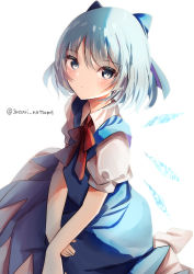 Rule 34 | 1girl, bad id, bad pixiv id, blue bow, blue dress, blue eyes, blue hair, bow, bowtie, cirno, closed mouth, dress, hair bow, highres, ice, ice wings, looking at viewer, natsume suzuri, pinafore dress, red bow, red bowtie, short hair, short sleeves, simple background, sleeveless dress, solo, touhou, twitter username, white background, wings
