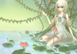 Rule 34 | 10s, 1girl, blue eyes, date a live, flower, gradient background, hair ornament, hairclip, lotus, plant, ribbon, short hair, soaking feet, solo, string, tanabata, tanzaku, tobiichi origami, vines, vowscat, water, white hair