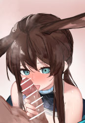 Rule 34 | 1boy, 1girl, absurdres, amiya (arknights), animal ears, ao oni (onioni-aoi), arknights, ascot, bar censor, blue ascot, blue collar, blue eyes, blush, breasts, censored, collar, erection, extra ears, fellatio, gradient background, hair between eyes, hetero, highres, licking, licking penis, long hair, looking at viewer, nude, open mouth, oral, penis, pink background, rabbit ears, sidelocks, small breasts, solo focus, tongue, tongue out