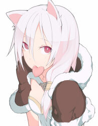 Rule 34 | 1girl, animal ears, blush, breasts, brown capelet, candy heart, capelet, cat ears, cat girl, commentary request, dress, food in mouth, fur-trimmed capelet, fur trim, hair between eyes, high wizard (ragnarok online), long bangs, looking at viewer, pink eyes, pink hair, ragnarok online, short hair, simple background, small breasts, solo, tugmix, upper body, white background, white dress