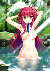 Rule 34 | 1girl, absurdres, adjusting hair, amitie florian, arms behind head, arms up, bathing, breasts, collarbone, completely nude, eyes visible through hair, fujima takuya, green eyes, groin, hair between eyes, hair censor, hair down, hair over breasts, hair over one breast, hand in own hair, highres, light censor, light rays, long hair, looking at viewer, lyrical nanoha, mahou shoujo lyrical nanoha the movie 3rd: reflection, medium breasts, mouth hold, nude, partially submerged, plant, red hair, rock, smile, solo, sunbeam, sunlight, tree, wading, water, wet