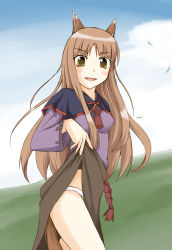 Rule 34 | 1girl, animal ears, bare legs, blush, brown eyes, brown hair, cla (torinabe), clothes lift, cloud, day, fang, feathers, holo, jewelry, long hair, looking at viewer, necklace, open mouth, panties, skirt, skirt lift, sky, smile, solo, spice and wolf, tail, underwear, upskirt, white panties, wolf ears, wolf tail