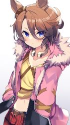 Rule 34 | 1girl, animal ears, belt, blue eyes, blush, brown hair, closed mouth, collarbone, commentary request, fur-trimmed jacket, fur trim, gradient background, hands in pockets, highres, horse ears, horseshoe, jacket, looking at viewer, narita taishin (umamusume), navel, nozomu144, pink jacket, plaid, shirt, short hair, simple background, solo, umamusume, v-shaped eyebrows, yellow shirt