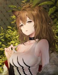 Rule 34 | 1girl, animal ears, arknights, bare arms, bare shoulders, black choker, breasts, brown eyes, brown hair, choker, cleavage, collarbone, commentary, fur trim, hair between eyes, large breasts, liby (libtnvd), lion ears, long hair, long sleeves, looking at viewer, off shoulder, open clothes, outdoors, parted lips, plant, ponytail, rain, revision, siege (arknights), smile, solo, spiked choker, spikes, symbol-only commentary, tank top, upper body, water, wet, wet hair