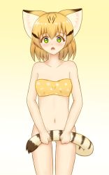 Rule 34 | 10s, 1girl, animal ears, bad id, bad pixiv id, blonde hair, bottomless, bra, cat ears, cat tail, collarbone, covering privates, covering crotch, green eyes, highres, holding tail, kemono friends, navel, no panties, open mouth, print bra, sand cat (kemono friends), shiraha maru, short hair, standing, strapless, strapless bra, striped tail, tail, underwear