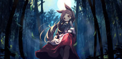 Rule 34 | 1girl, :3, absurdres, animal ears, brown hair, chii (tsumami tsumamare), closed mouth, clothes lift, dress, dress lift, feet out of frame, forest, full moon, highres, imaizumi kagerou, lifting own clothes, long hair, long sleeves, looking at viewer, moon, nature, outdoors, red dress, red eyes, smile, solo, standing, touhou, two-tone dress, white dress, wide sleeves, wolf ears