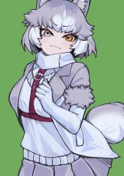 Rule 34 | 1girl, a888 n22, absurdres, blue eyes, blush, cowboy shot, dog (mixed breed) (kemono friends), elbow gloves, gloves, green background, grey hair, grey jacket, grey skirt, harness, heterochromia, highres, jacket, kemono friends, looking at viewer, multicolored clothes, multicolored hair, multicolored jacket, pleated skirt, scarf, short hair, short sleeves, skirt, solo, two-tone hair, two-tone jacket, vest, white gloves, white hair, white jacket, white scarf, white vest, yellow eyes