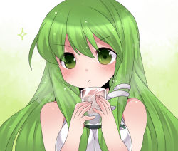 Rule 34 | 1girl, :&lt;, bare shoulders, blush, commentary request, cup, frog, green eyes, green hair, hair ornament, hammer (sunset beach), kochiya sanae, long hair, matching hair/eyes, multicolored eyes, snake hair ornament, solo, sparkle, touhou, upper body, water