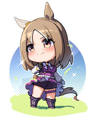 Rule 34 | 1girl, animal ears, asymmetrical gloves, black gloves, black shorts, blush, breasts, brown eyes, chibi, closed mouth, commentary, ear ornament, full body, gloves, grass, horse ears, horse girl, horse tail, large breasts, light brown hair, light smile, long sleeves, looking to the side, medium hair, mismatched gloves, narita top road (umamusume), puffy long sleeves, puffy sleeves, shorts, solo, standing, sweat, tail, thighs, umamusume, warashi, white gloves