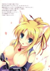 Rule 34 | 10s, 1girl, :o, absurdres, animal ears, aqua eyes, bare shoulders, blonde hair, blush, breasts, commentary, dog days, fang, fingerless gloves, fox ears, fox tail, from above, gloves, green eyes, highres, jewelry, large breasts, long hair, necklace, nipples, open clothes, open mouth, open shirt, petals, ponytail, shirt, solo, tail, tateha (marvelous grace), yukikaze panettone