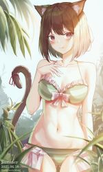 Rule 34 | 1girl, absurdres, animal ear fluff, animal ears, arm at side, bare arms, bikini, breasts, brown hair, cat ears, cat girl, cat tail, cleavage, closed mouth, collarbone, commentary, cowboy shot, english commentary, english text, frilled bikini, frills, gluteal fold, green bikini, hair between eyes, halterneck, hand on own chest, highres, huge filesize, leaf, looking at viewer, medium breasts, navel, original, palm tree, red eyes, schuld, smile, solo, standing, swimsuit, tail, thigh gap, tree