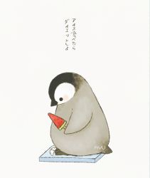 Rule 34 | animal focus, ayu (mog), baby penguin, bathroom scale, bird, blush, chick, commentary, emperor penguin, food, from side, holding, original, penguin, popsicle, signature, simple background, translation request, watermelon bar, weighing scale, weight conscious, white background