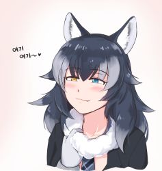 Rule 34 | 10s, 1girl, :3, animal ears, black hair, blue eyes, blush, breasts, collarbone, fang, fang out, fur collar, gloves, graphite (medium), grey wolf (kemono friends), heart, heterochromia, kemono friends, korean text, long hair, long sleeves, looking at viewer, mechanical pencil, multicolored hair, necktie, pencil, selby, solo, traditional media, two-tone hair, wolf ears, yellow eyes