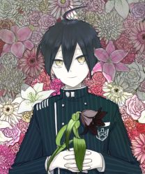 Rule 34 | 1boy, ahoge, black flower, black hair, brown eyes, buttons, closed mouth, commentary request, danganronpa (series), danganronpa v3: killing harmony, double-breasted, floral background, flower, from above, hair between eyes, hands up, holding, holding flower, jacket, kana (kttn r), long sleeves, looking at viewer, lying, male focus, on back, pale skin, pink flower, pink rose, red flower, rose, saihara shuichi, short hair, smile, solo, striped clothes, striped jacket, upper body