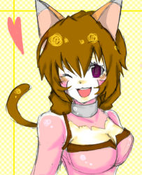 Rule 34 | .hack//, .hack//g.u., .hack//roots, 00s, 1girl, animal ears, bandai, breasts, brown hair, casouth, cat ears, cat girl, cat tail, choker, cleavage, cyber connect 2, female focus, open mouth, purple eyes, short hair, solo, tabby, tail, wink