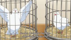 Rule 34 | 1boy, 1girl, animated, animated gif, assistant (tejina senpai), bird, birdcage, blue eyes, bottle, bouncing breasts, bra, breasts, cage, emphasis lines, large breasts, lowres, see-through, silver hair, spray bottle, subtitled, tejina senpai, tejina senpai (series), underwear