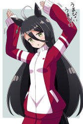 Rule 34 | 1girl, :o, ahoge, aikawa ryou, animal ears, arms up, black hair, blush, brown eyes, commentary request, grey background, hair between eyes, highres, horse ears, horse girl, horse tail, jacket, long hair, long sleeves, manhattan cafe (umamusume), pants, parted lips, red jacket, red pants, sleeves past wrists, solo, tail, track jacket, track pants, track suit, translation request, two-tone background, umamusume, umapyoi densetsu, very long hair, white background