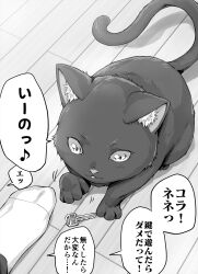Rule 34 | animal, cat, comic, feet, greyscale, highres, indoors, key, koyuki (kotatsu358), monochrome, original, speech bubble, translation request, wooden floor