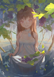 Rule 34 | 1girl, bare arms, bare shoulders, blush, breasts, brown eyes, brown hair, choker, collarbone, commentary, dress, echosdoodle, food, fruit, grapes, long hair, looking at viewer, original, outdoors, parted lips, pointy ears, rain, ripples, skirt basket, sleeveless, sleeveless dress, small breasts, smile, solo, standing, symbol-only commentary, very long hair, wading, water, wet, wet clothes, wet dress, white choker, white dress